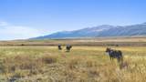 30236 Us Hwy 91 - Photo 15