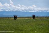980 ACRES Merna N. Beaver - Photo 10