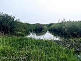 980 ACRES Merna N. Beaver - Photo 19