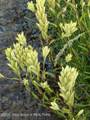 980 ACRES Merna N. Beaver - Photo 20