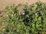980 ACRES Merna N. Beaver - Photo 21