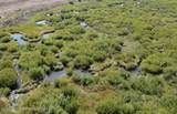980 ACRES Merna N. Beaver - Photo 30