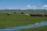 980 ACRES Merna N. Beaver - Photo 4