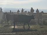 980 ACRES Merna N. Beaver - Photo 45
