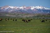 980 ACRES Merna N. Beaver - Photo 5