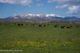 980 ACRES Merna N. Beaver - Photo 9