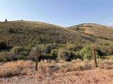 LOT 3 Bloomington Canyon Road - Photo 2