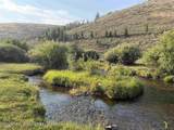LOT 5 Bloomington Canyon Road - Photo 4