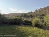 LOT 5 Bloomington Canyon Road - Photo 5