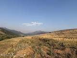 LOT 5 Bloomington Canyon Road - Photo 6
