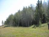 124 Hurricane Trail - Photo 3