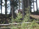 124 Hurricane Trail - Photo 8