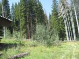 124 Hurricane Trail - Photo 9