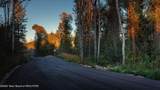 5 Swiss Village Trail - Photo 9