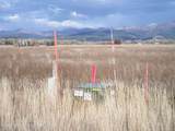 4799 Wydaho Ranch Trail - Photo 16