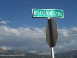 4799 Wydaho Ranch Trail - Photo 18