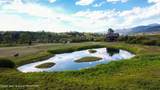 227 Mcneel Power Plant Road - Photo 2