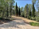LOT 13 Alpine Meadow Loop - Photo 2