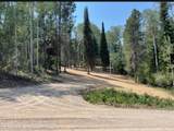 LOT 13 Alpine Meadow Loop - Photo 3