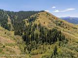 3250 Wildhorse Road - Photo 4