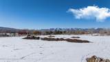 9255 Fossil Mountain Drive - Photo 12