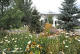 1290 Smoky Canyon Road - Photo 42