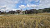 643 Royal Elk Circle - Photo 7