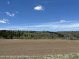 8489 Fawn Ridge Lane - Photo 8