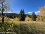 66.73 ACRE County Road 123 - Photo 10