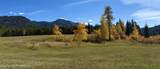 66.73 ACRE County Road 123 - Photo 13