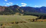 66.73 ACRE County Road 123 - Photo 15