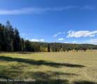 66.73 ACRE County Road 123 - Photo 18