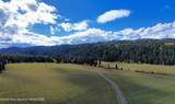 66.73 ACRE County Road 123 - Photo 4