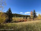 66.73 ACRE County Road 123 - Photo 9