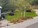399 Granite Ridge - Photo 81