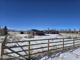 5124 Rancheros Loop - Photo 7