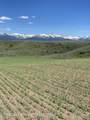 2633 Spring Hollow Ranch Road - Photo 6