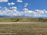 2633 Spring Hollow Ranch Road - Photo 7