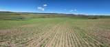 2633 Spring Hollow Ranch Road - Photo 8