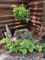 7285 Pine Tree Road - Photo 61