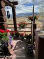 7285 Pine Tree Road - Photo 65