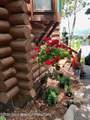 7285 Pine Tree Road - Photo 72