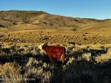 LOT 8 Chimney Butte Road - Photo 12