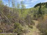 180 ACRES Cove Rd - Photo 17