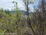 180 ACRES Cove Rd - Photo 21