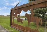 268 Lone Cowboy Road - Photo 2