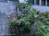 95 Auburn-Forest Road - Photo 56