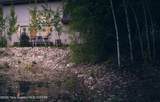 112 Aspen Meadows Road - Photo 2