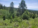 L58B4 Cutthroat Run - Photo 7