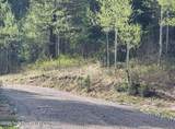 L39B4 Cutthroat Run - Photo 3